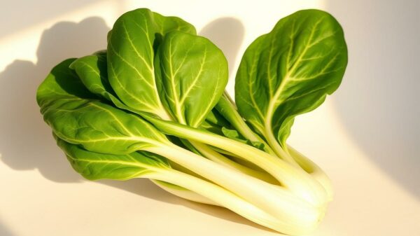 pak choi